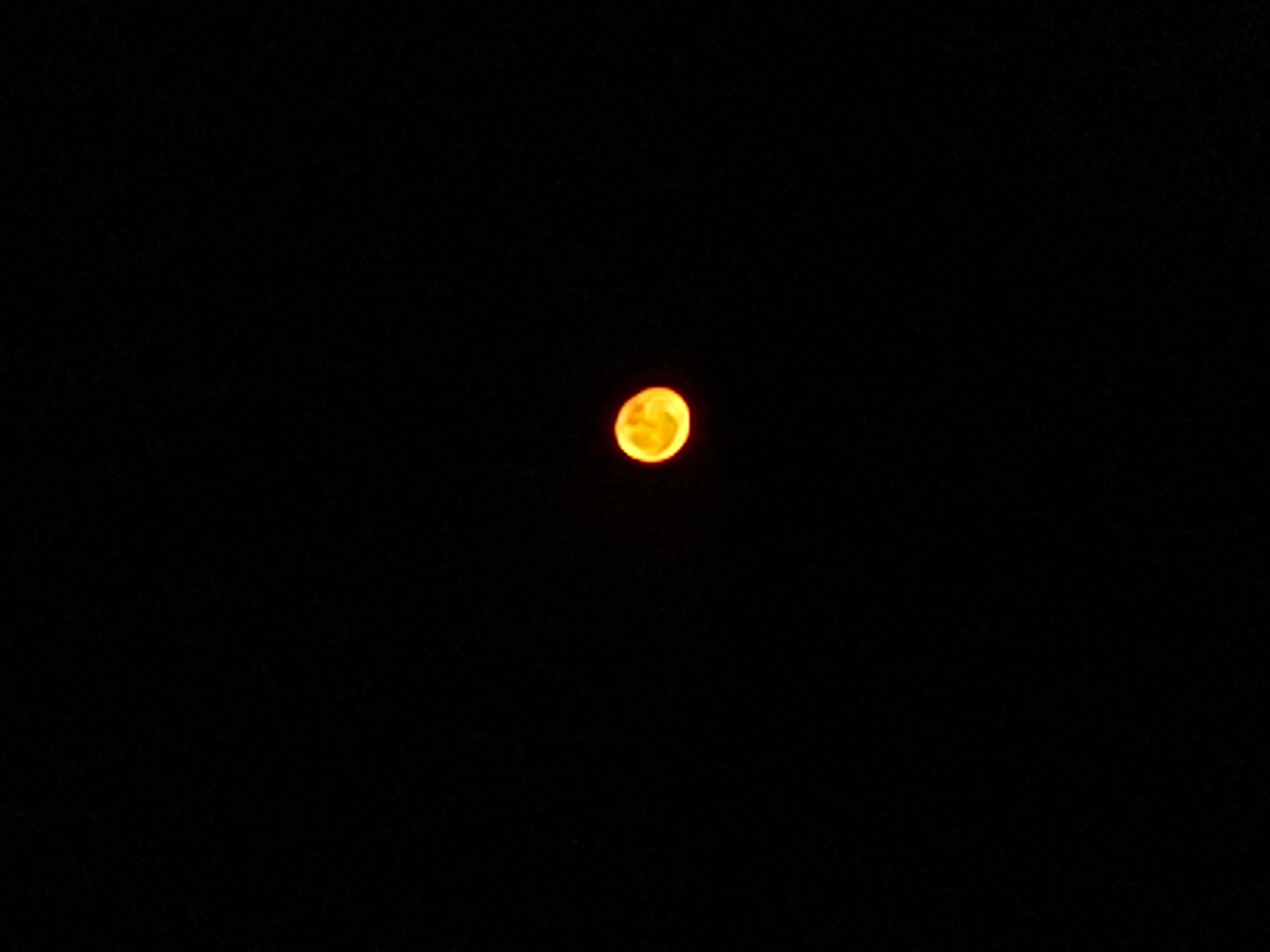 Foto de Shachihata